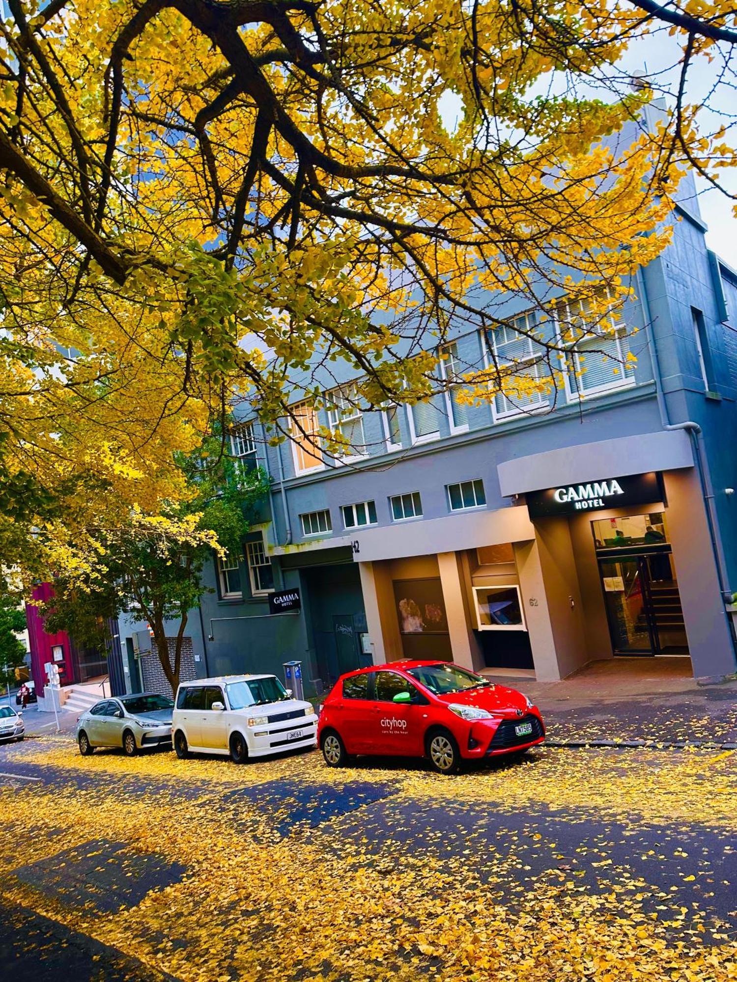 Gamma Hotel Auckland Ngoại thất bức ảnh
