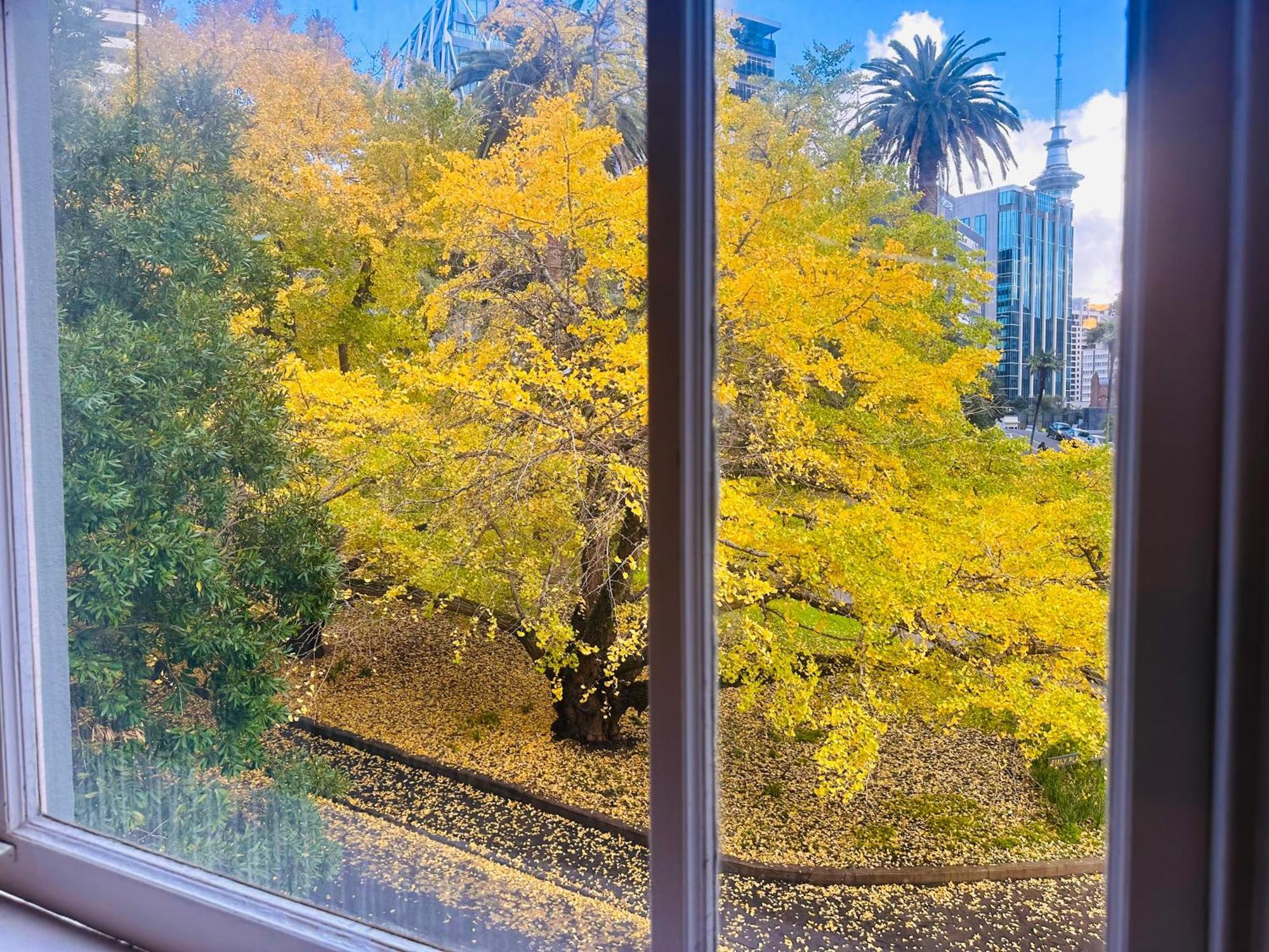 Gamma Hotel Auckland Ngoại thất bức ảnh